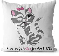 Impar pillow You are a kitty age 60 - Pillow