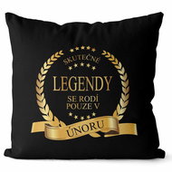 Impar pillow Real legends - months - February - Pillow