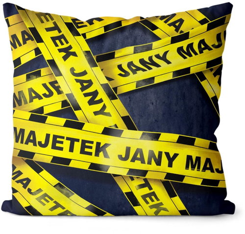 Impar women's pillow property of Jana - Pillow - Main image
