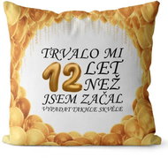 Impar pillow It took me 12 years - Pillow