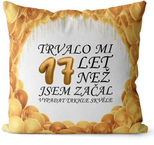 Impar pillow It took me 17 years - Pillow - Main image