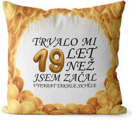 Impar pillow It took me 19 years - Pillow
