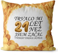 Impar pillow It took me 21 years - Pillow