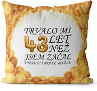 Impar pillow It took me 43 years - Pillow