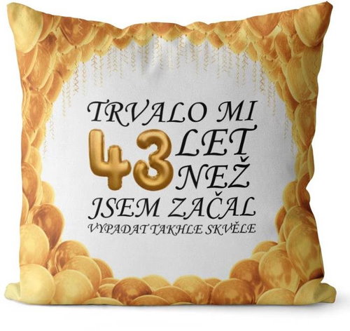 Impar pillow It took me 43 years - Pillow - Main image