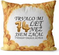 Impar pillow It took me 74 years - Pillow