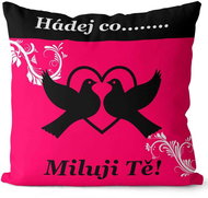 Polštář Hádej co 55 × 55 cm - Polštář