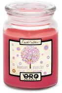 IMPAR Chocolate scented cherry candle - Mothers are like buttons 500 g - Candle