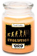 IMPAR Tropical fruit scented candle - Evolution - teachers 500 g - Candle