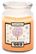 IMPAR Tropical fruit scented candle - Mothers are like buttons 500 g - Candle