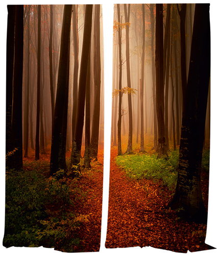 IMPAR Curtains Forest in autumn,140 × 250 cm - Drape - Main image