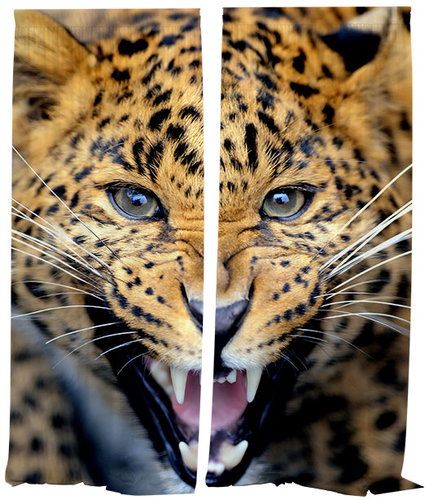 IMPAR Curtains Cheetah roar,140 × 250 cm - Drape - Main image
