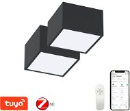Immax NEO 2x CANTO Smart Deckenleuchte 15x15cm 12W schwarz Zigbee 3.0+fernbedienung - LED-Licht