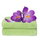 Bath Towel 37 Lime 100x150cm