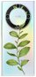 iSaprio Green Plant 01 - Honor Magic5 Lite 5G - Phone Cover