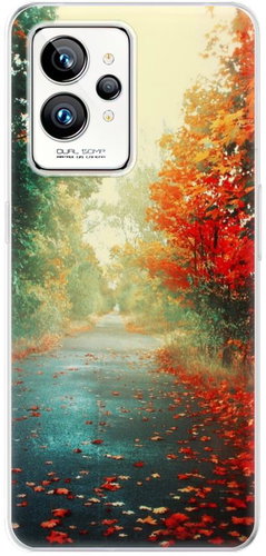iSaprio Autumn 03 pro Realme GT 2 Pro - Phone Cover - Main image