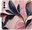 Pouzdro Pink Leaves pro Samsung Galaxy A04s