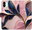 Pouzdro Pink Leaves pro Xiaomi Redmi A1 / A2