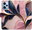 Pouzdro Pink Leaves pro Xiaomi Redmi Note 12 Pro 5G / Poco X5 Pro 5G