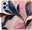 Pouzdro Pink Leaves pro Xiaomi Redmi Note 12 Pro+ 5G