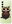 Owl And Coffee for Samsung Galaxy A54 5G