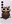 Owl And Coffee for Samsung Galaxy S23 5G