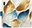 Pouzdro GoldBlue Leaves pro Huawei P20 Lite