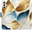 Pouzdro GoldBlue Leaves pro Samsung Galaxy A32 5G