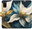 Pouzdro Gold Flowers pro Samsung Galaxy A41
