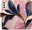 Pouzdro Pink Leaves pro Samsung Galaxy M52 5G