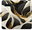Pouzdro BlackGold Marble pro Samsung Galaxy S10