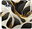 Pouzdro BlackGold Marble pro Samsung Galaxy S10e