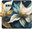 Pouzdro Gold Flowers pro Samsung Galaxy S10e