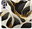 BlackGold Marble pre Samsung Galaxy S21 FE 5G