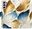 Pouzdro GoldBlue Leaves pro Samsung Galaxy S21 FE 5G