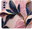 Pouzdro Pink Leaves pro Samsung Galaxy S21 FE 5G