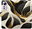 Pouzdro BlackGold Marble pro Xiaomi 12 / 12X