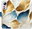 Pouzdro GoldBlue Leaves pro Xiaomi 12 / 12X