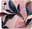 Pouzdro Pink Leaves pro Xiaomi 12 / 12X