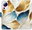 Flip pouzdro GoldBlue Leaves pro Xiaomi 13 Lite