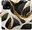 Pouzdro BlackGold Marble pro Xiaomi 13 Pro