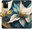 Pouzdro Gold Flowers pro Xiaomi Redmi 10