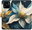 Pouzdro Gold Flowers pro Xiaomi Redmi 10C