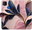Pouzdro Pink Leaves pro Xiaomi Redmi 9C