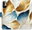 Pouzdro GoldBlue Leaves pro Xiaomi Redmi Note 10 5G