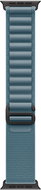 Apple Watch 49mm Light Blue Alpine Pull - Large - Black Titanium - Watch Strap