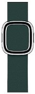 Apple 40mm Pine Green with Modern Buckle - Small - Watch Strap