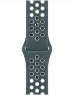 Apple Watch 40mm Hasta / Light Silver Nike Sports Strap - Standard - Watch Strap