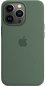 Apple MagSafe-rögzítésű iPhone 13 Pro-szilikontok - eukaliptusz - Telefon tok