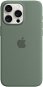 Apple iPhone 15 Pro Max Silikonhülle mit MagSafe zypressengrün - Handyhülle